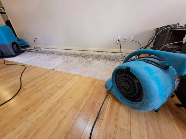 Professional Flood Damage Cleanup technician working in Benton, KY